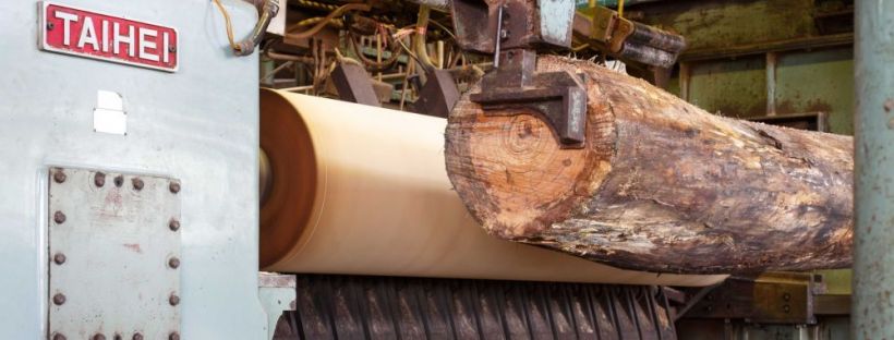 schillen van boomstam voor multiplex