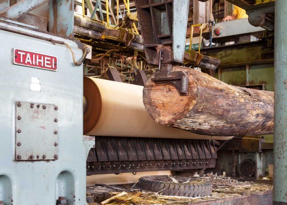 schillen van boomstam voor multiplex